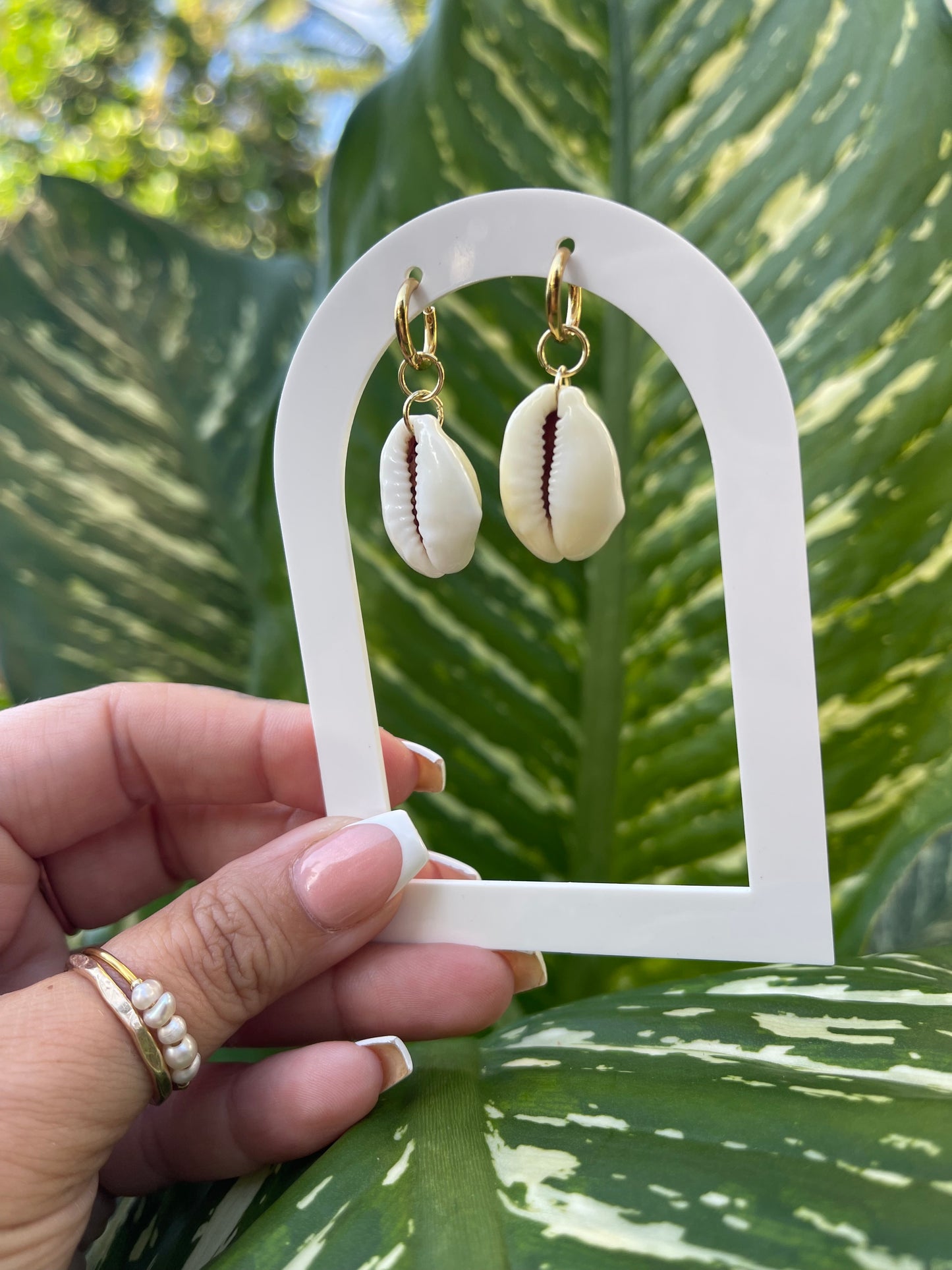money cowrie huggies