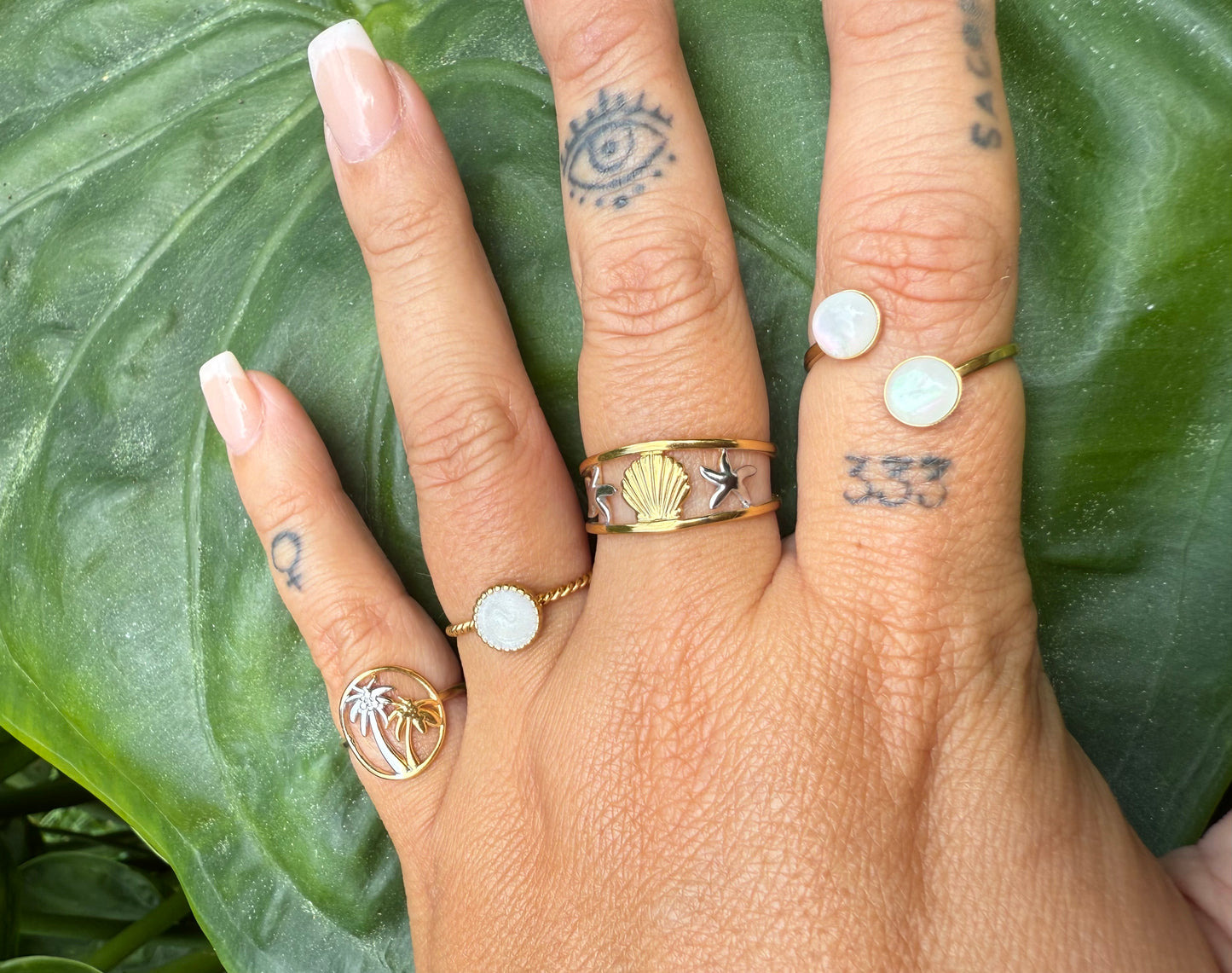 shorelight rings