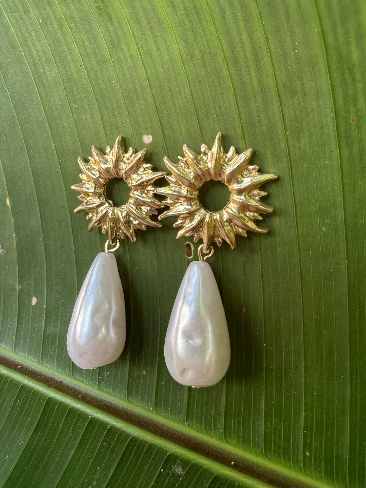 golden gaze earrings