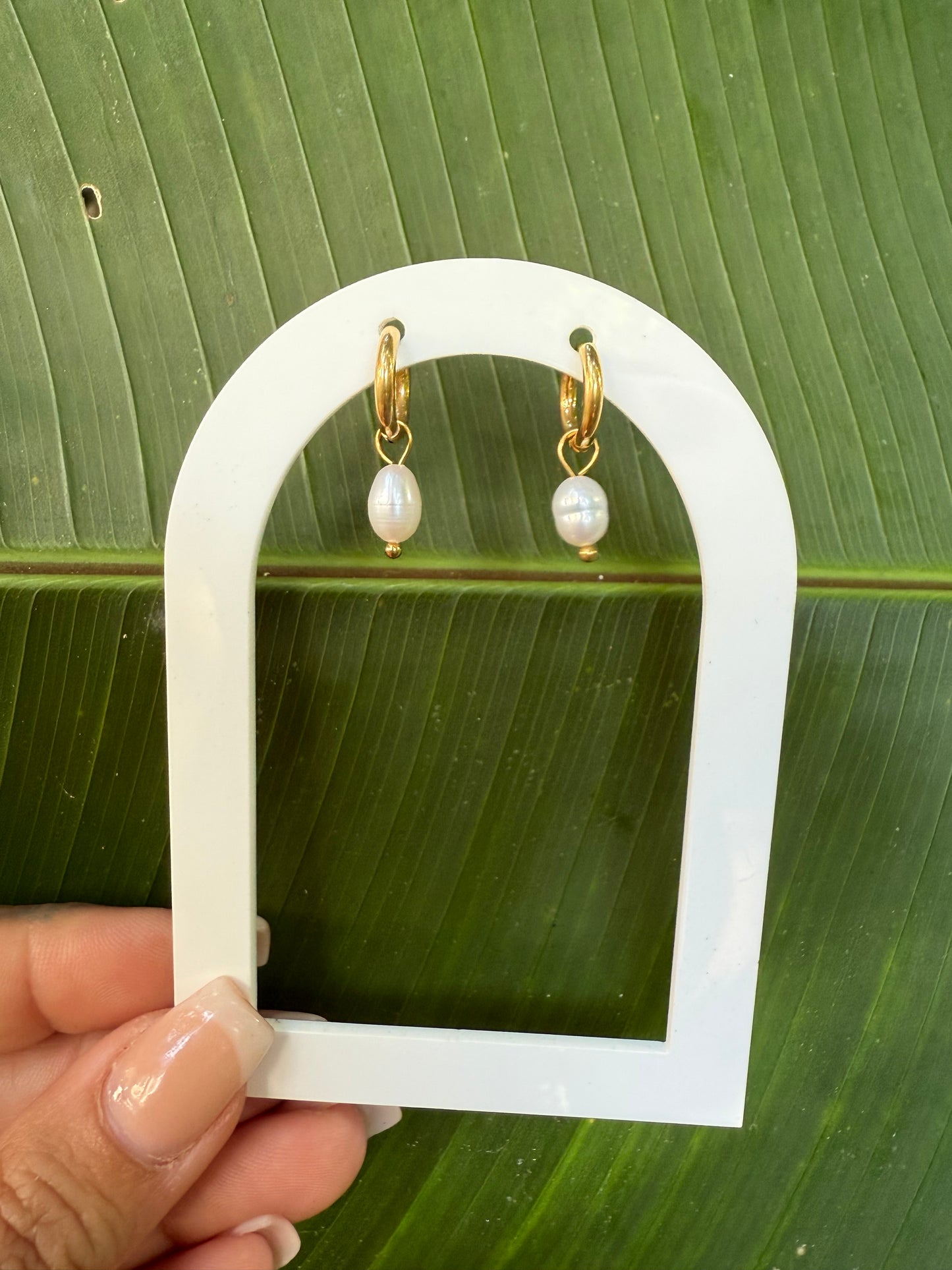 divine daily earrings