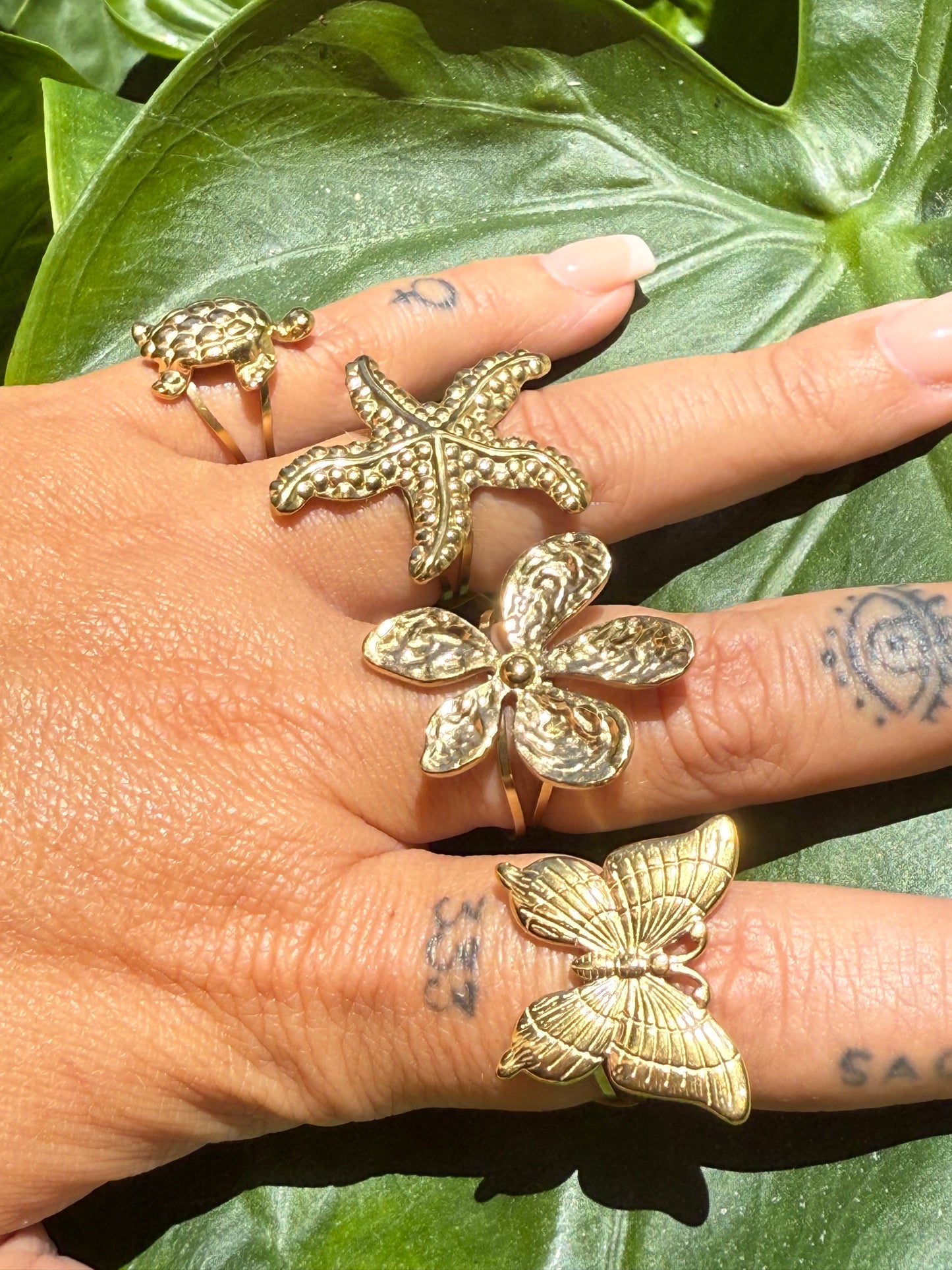 mana morphosis rings