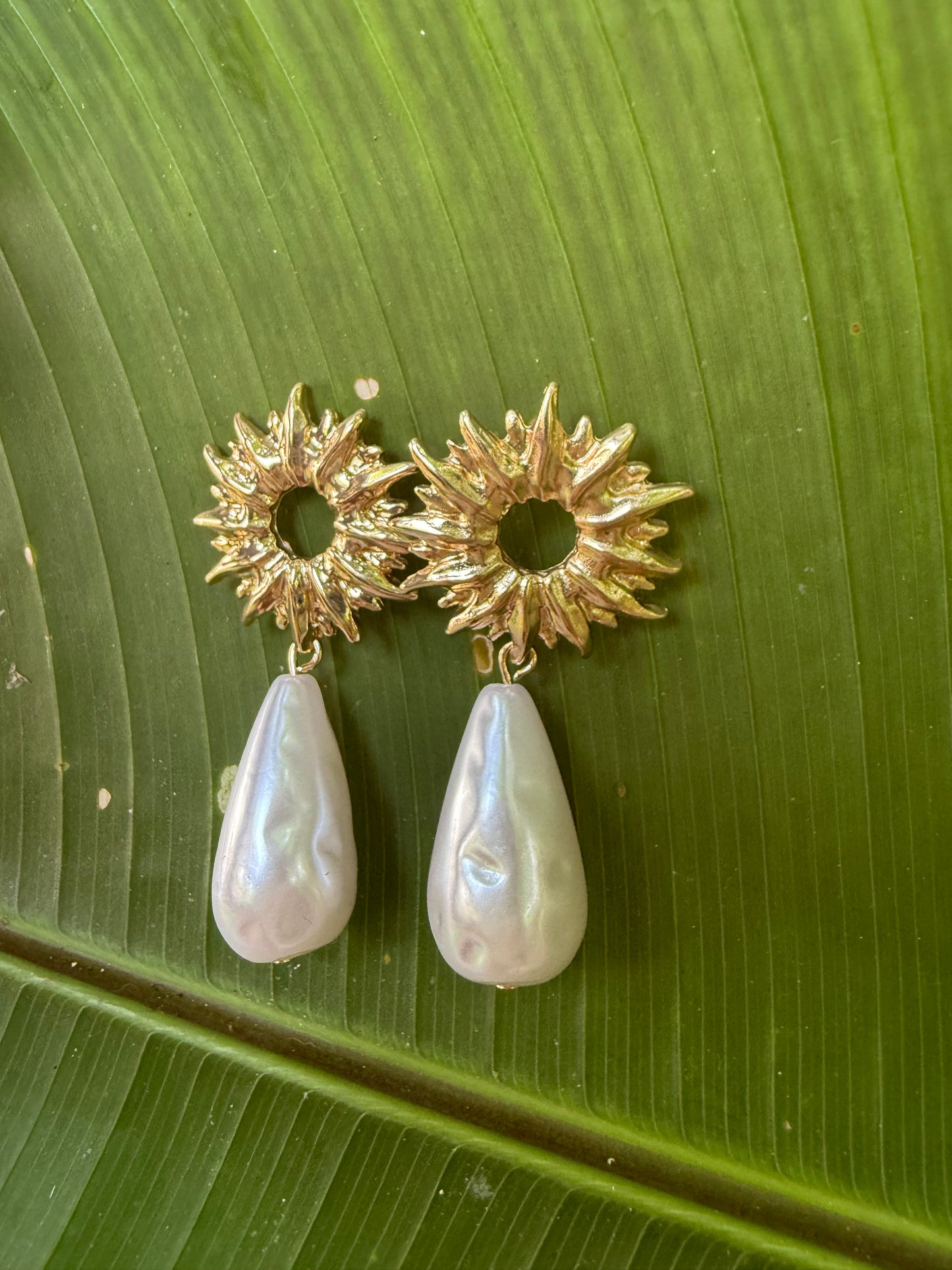 golden gaze earrings