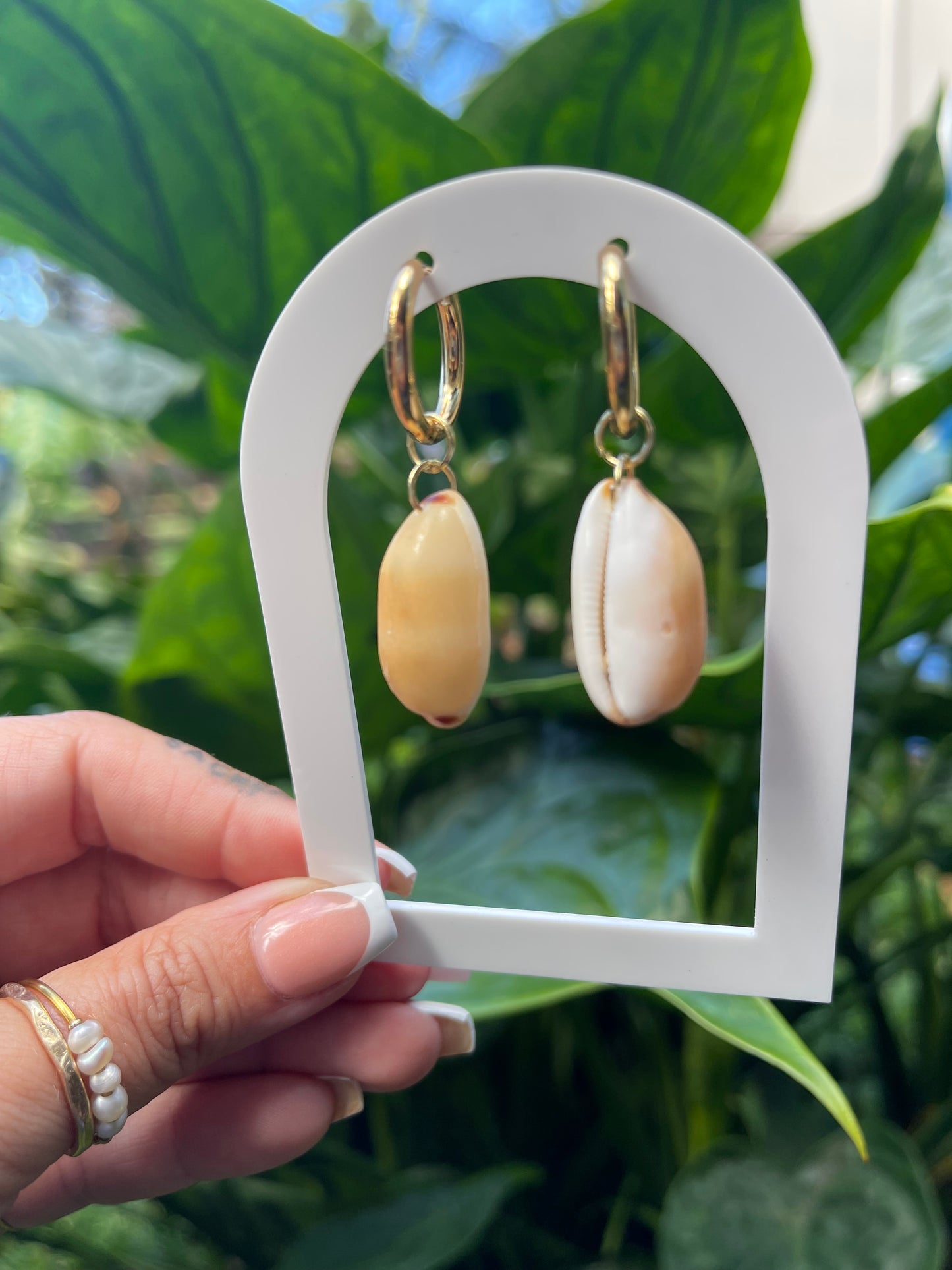 cowrie huggies