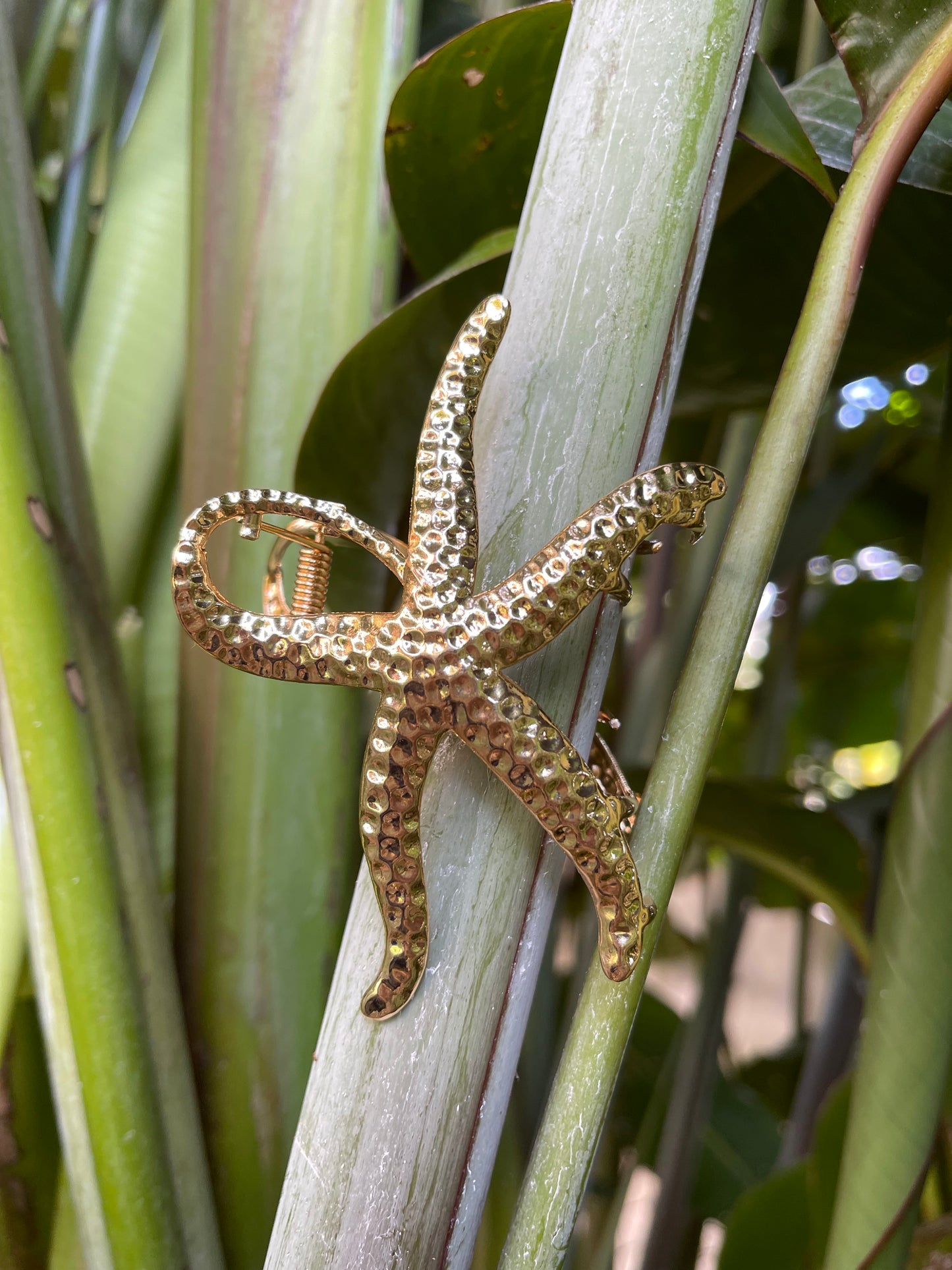golden star clip