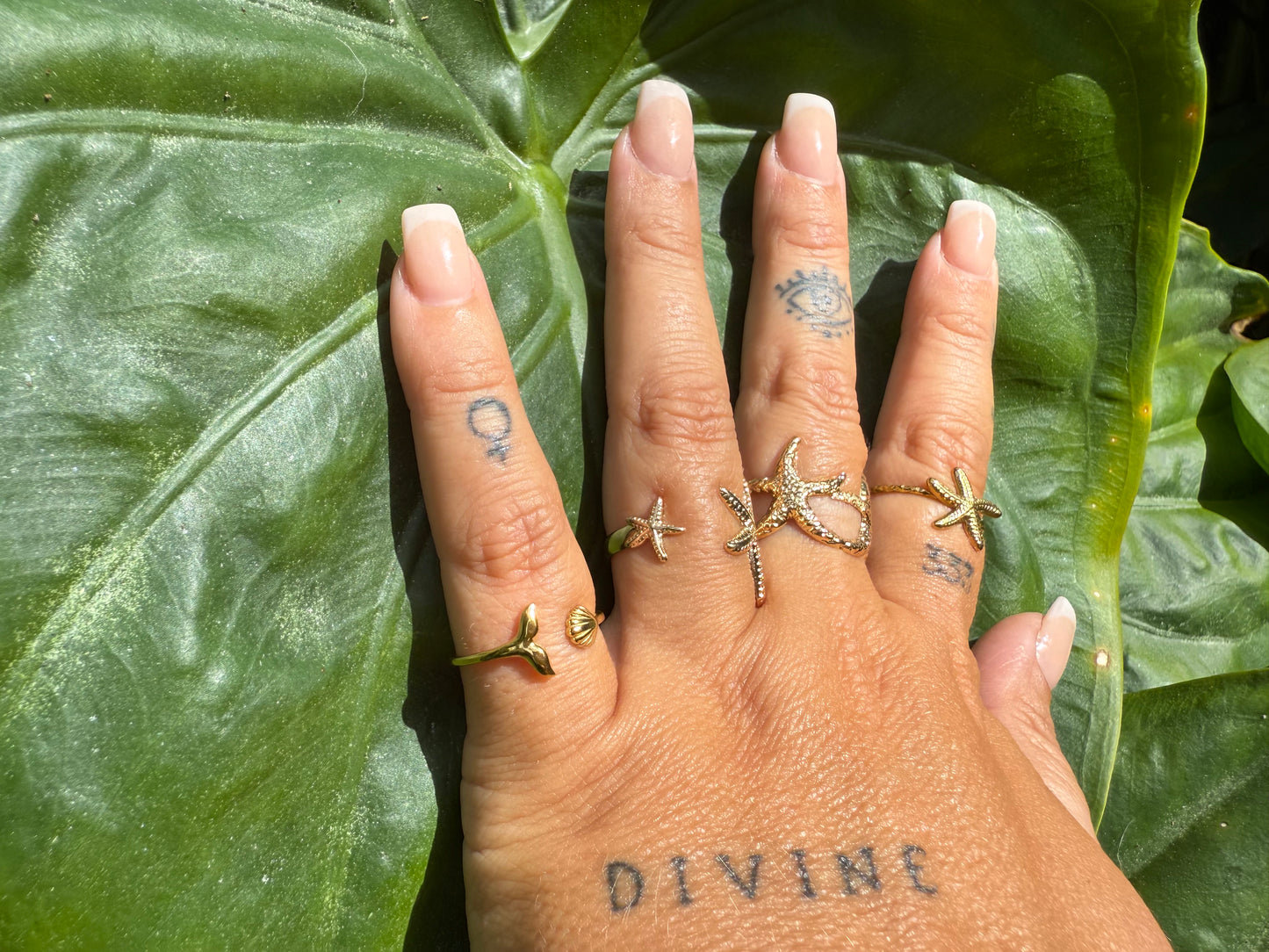 star of the sea rings