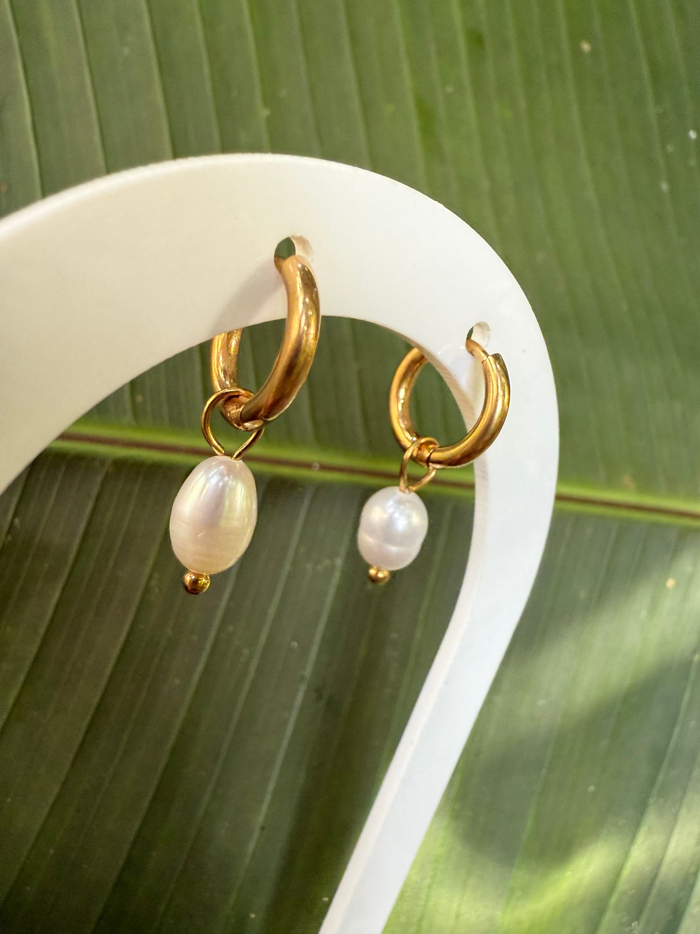 divine daily earrings
