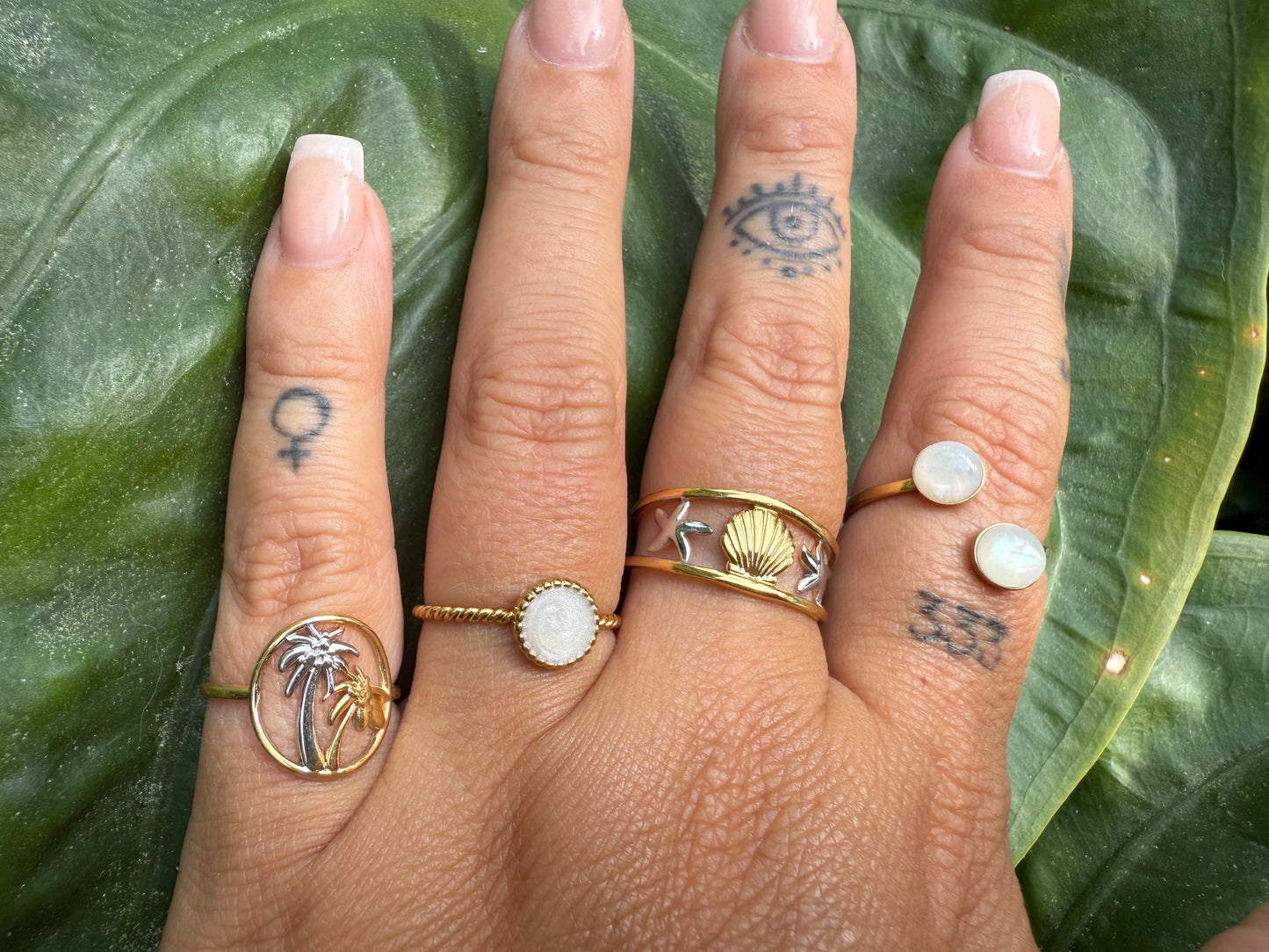 shorelight rings