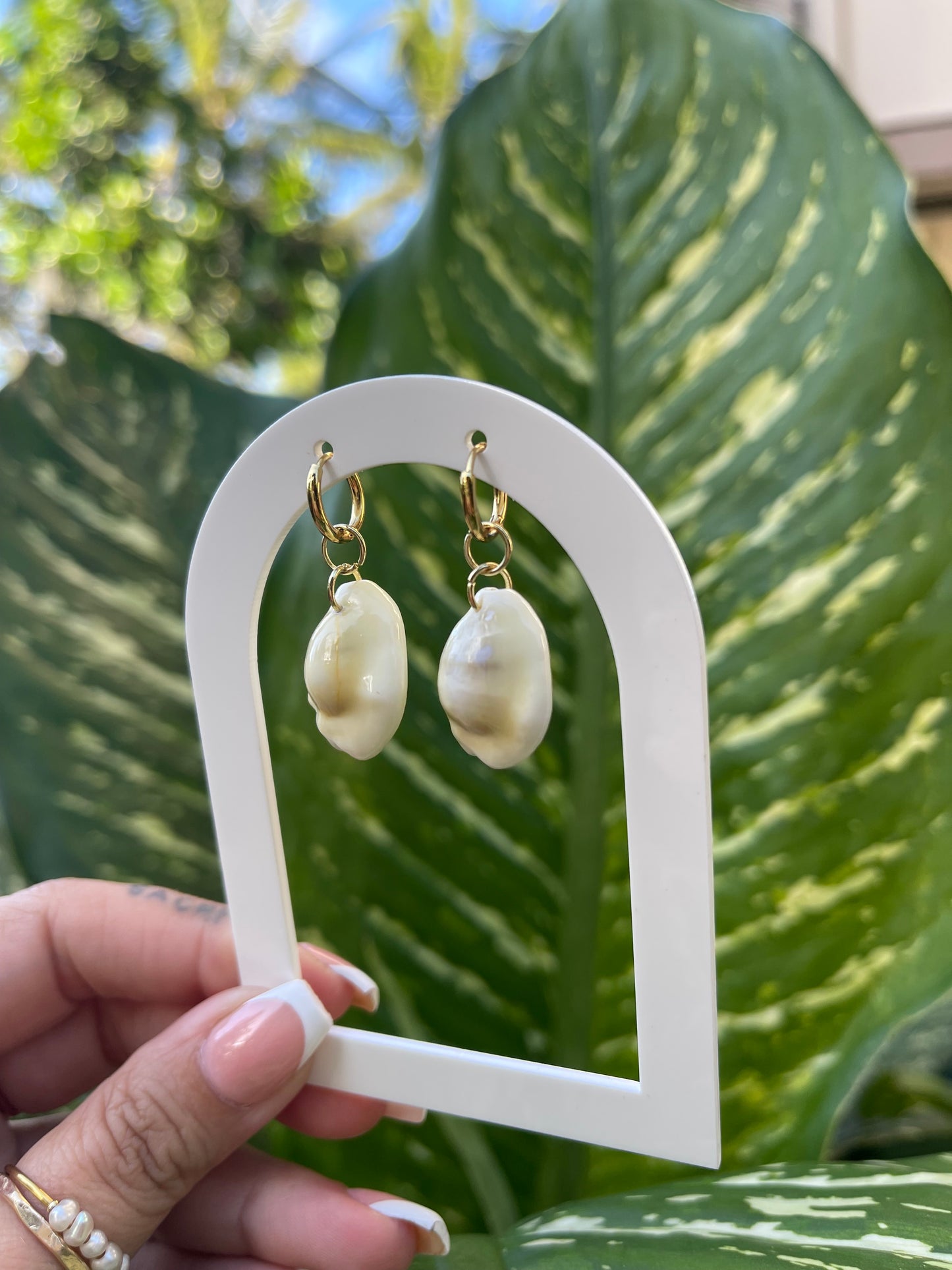 money cowrie huggies