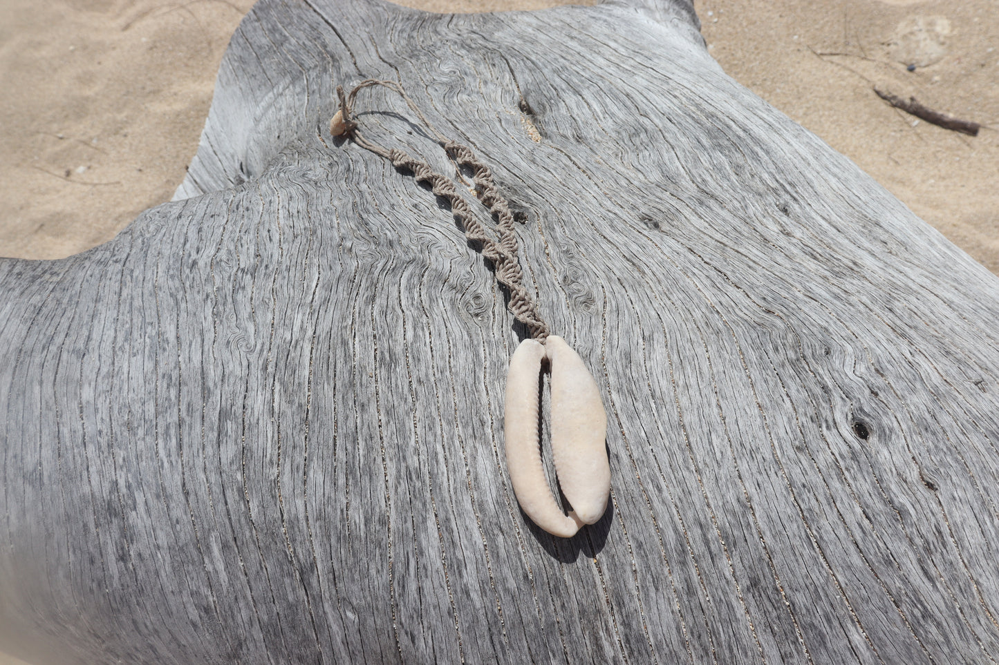creamy cowrie necklace