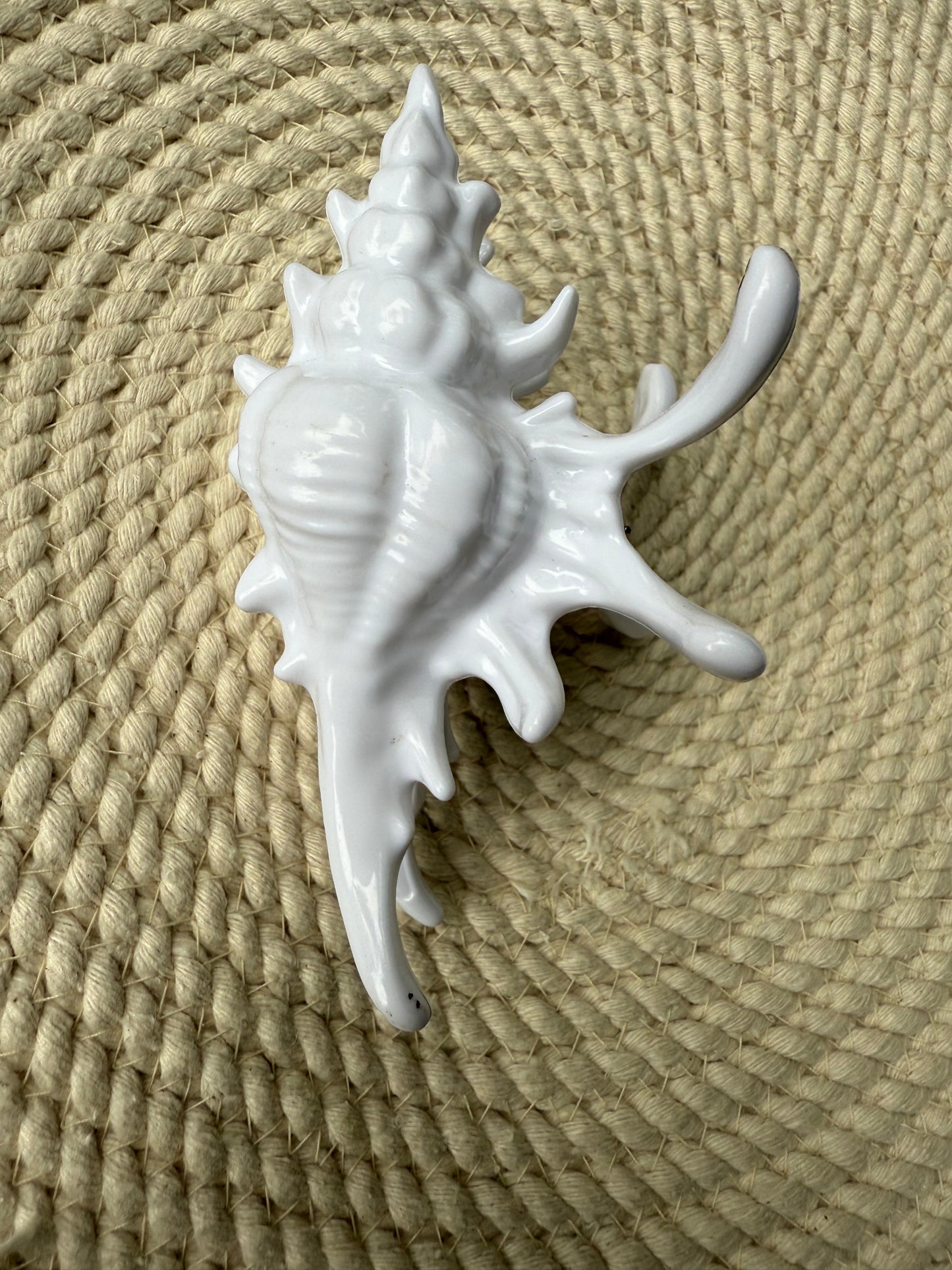 conch clip