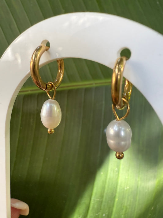 divine daily earrings