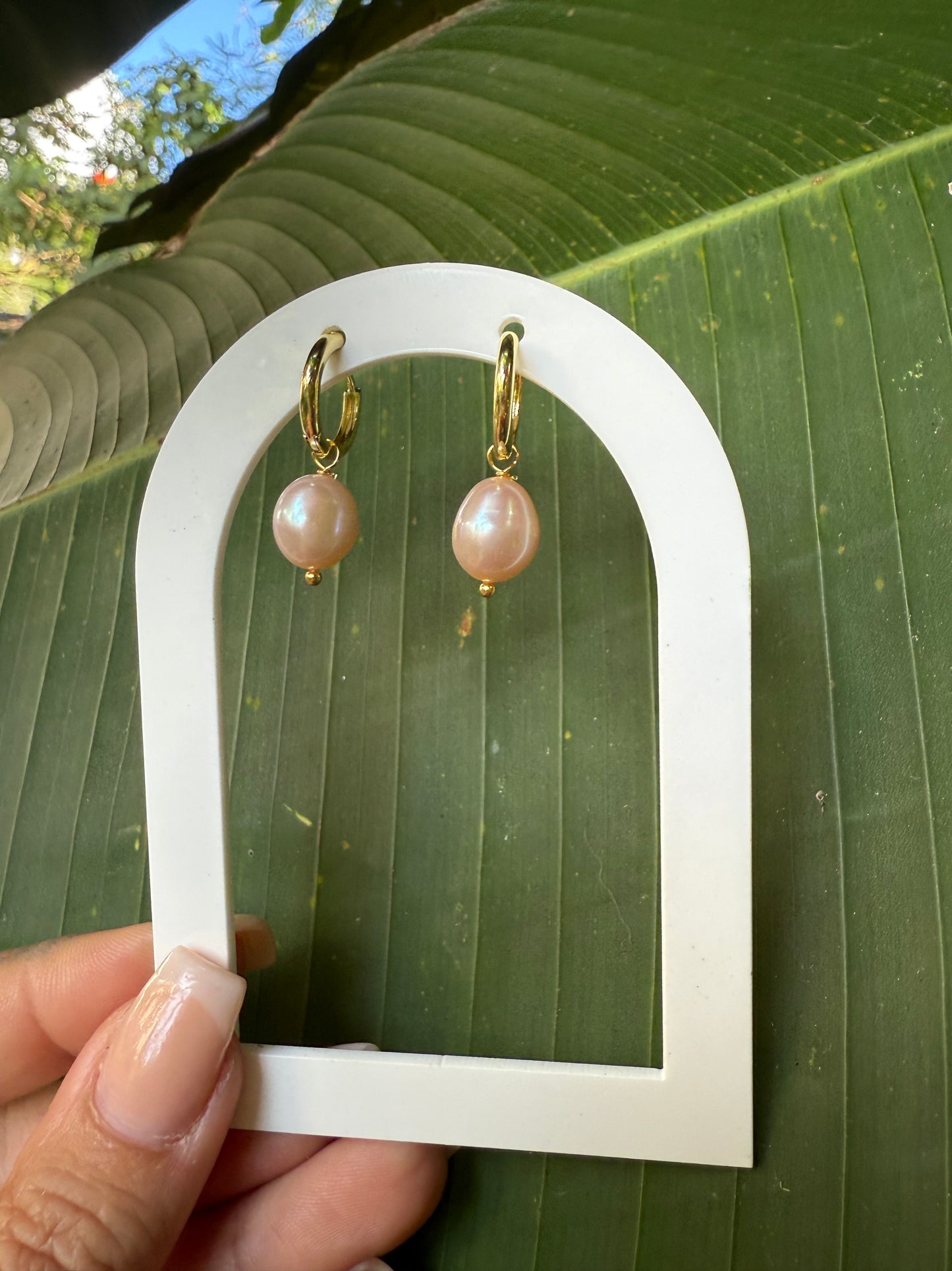 blush baby earring