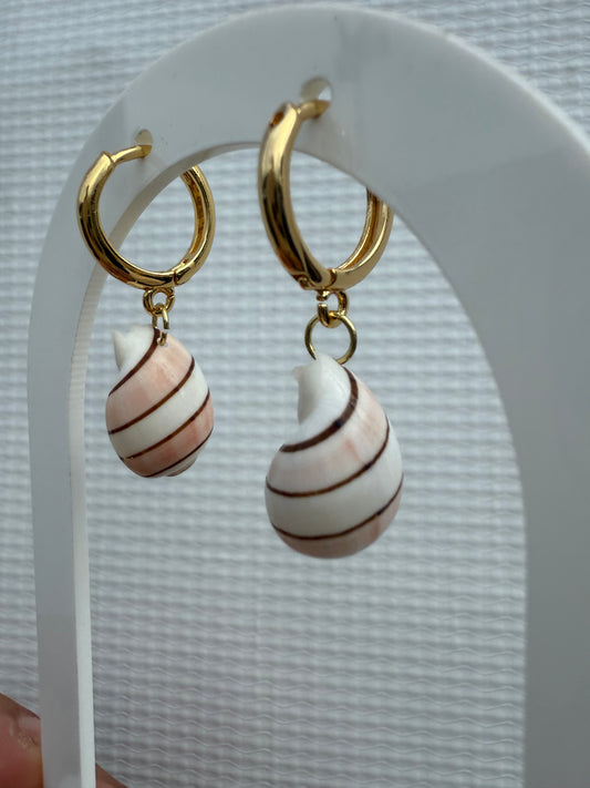 bubble shell huggies