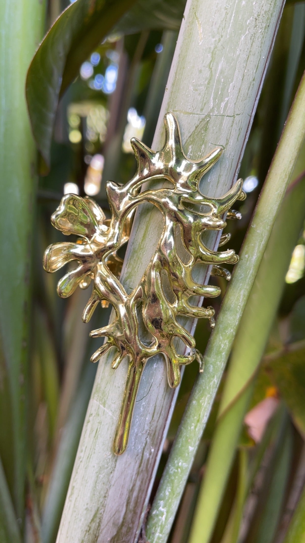 golden conch clip