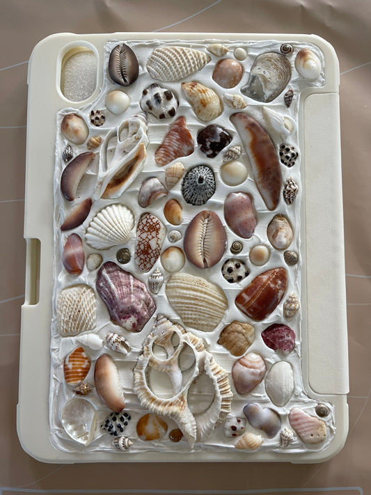 iPad case