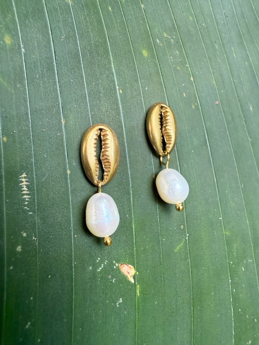 cowrie