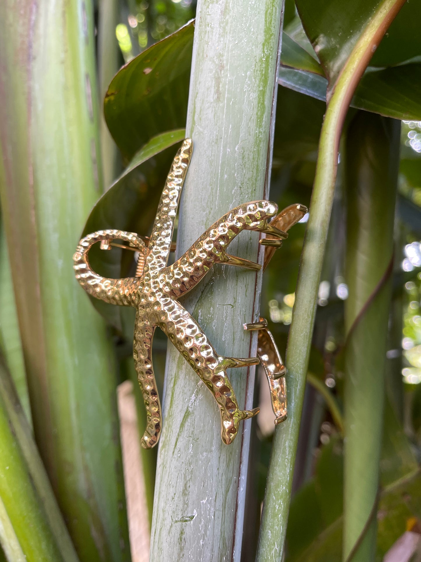 golden star clip