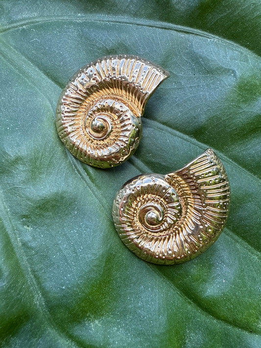 concha earrings