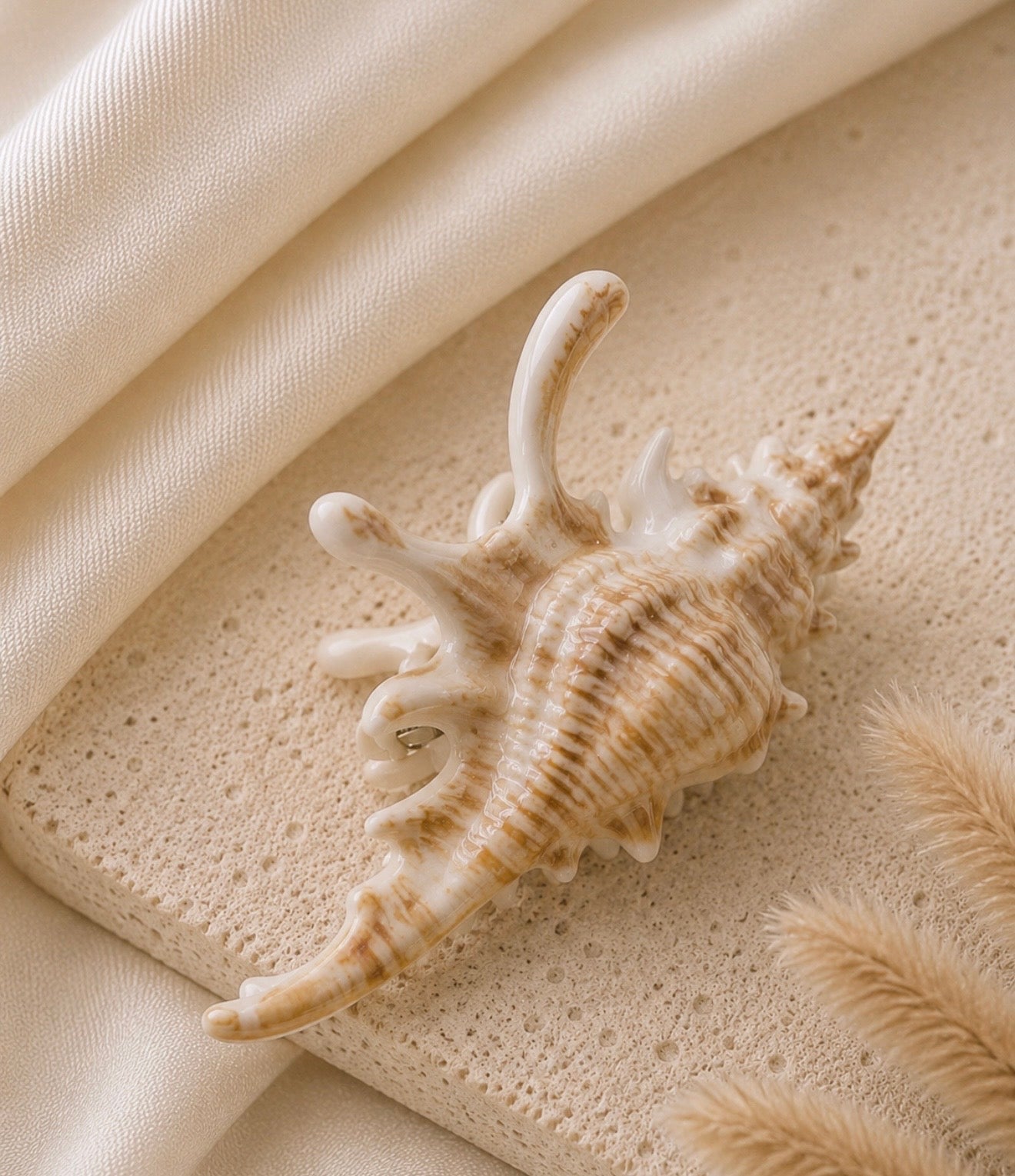 conch clip