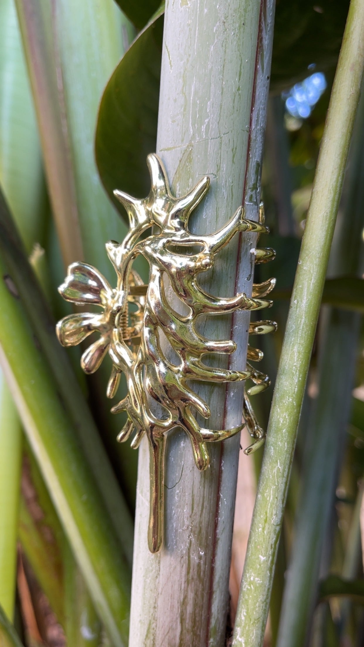 golden conch clip