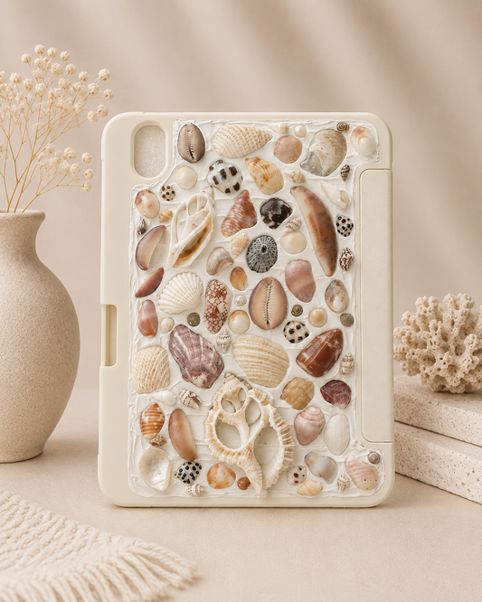 iPad case