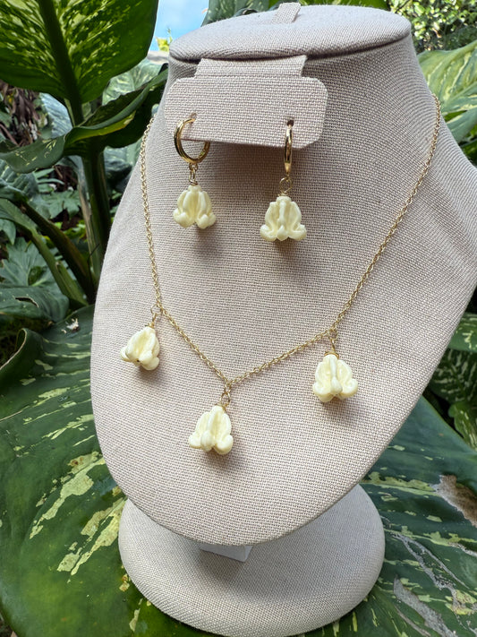 White Crown Collection