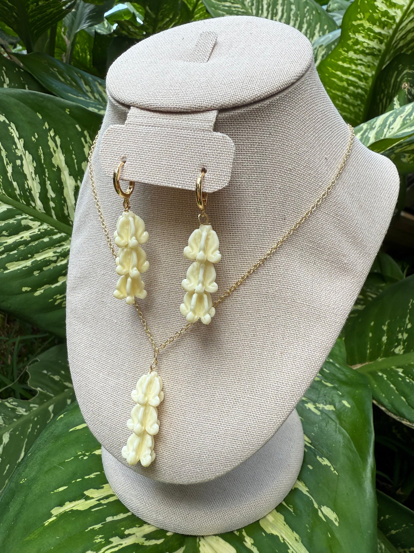 White Crown Collection